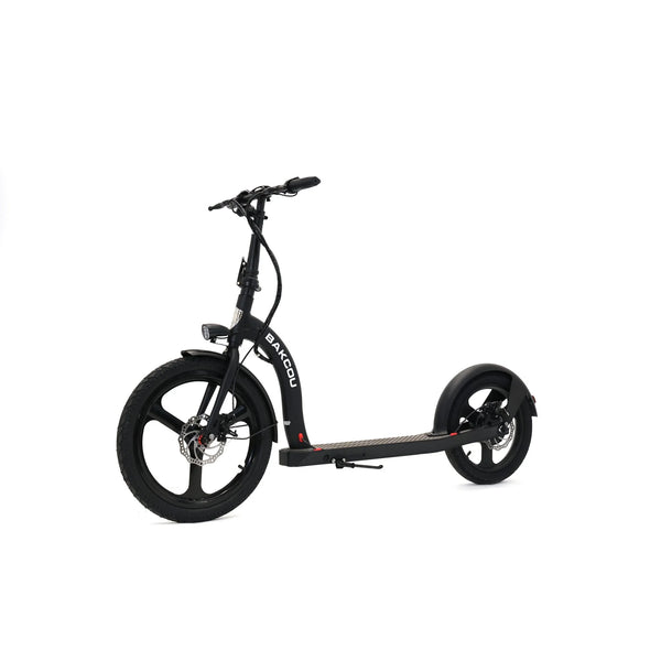 Badger Electric Scooter