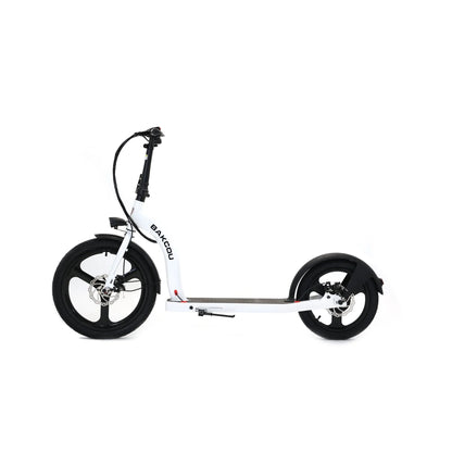 Badger Electric Scooter
